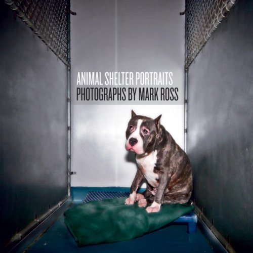 Animal Shelter Portraits Travel