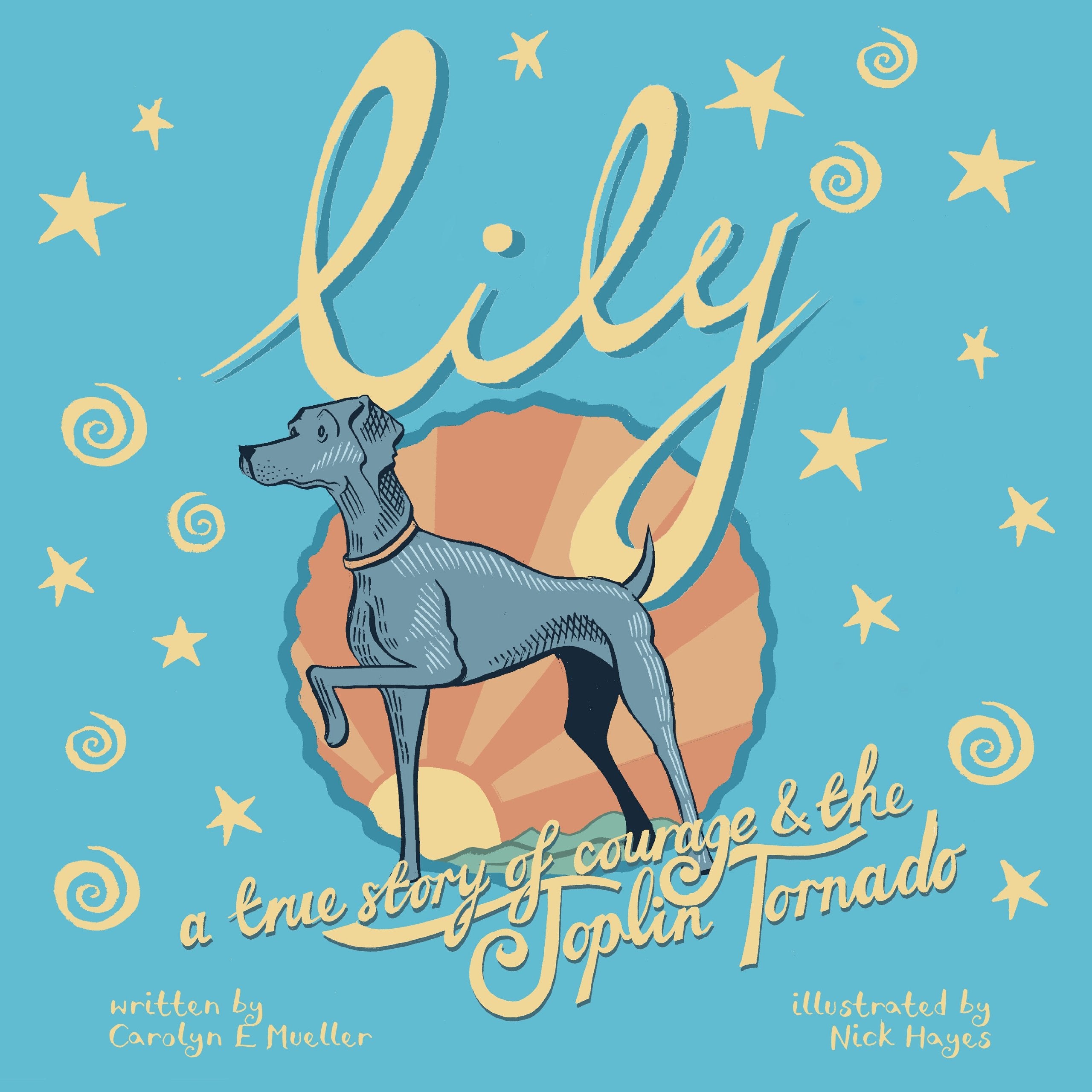 Lily: A True Story of Courage & the Joplin Tornado book