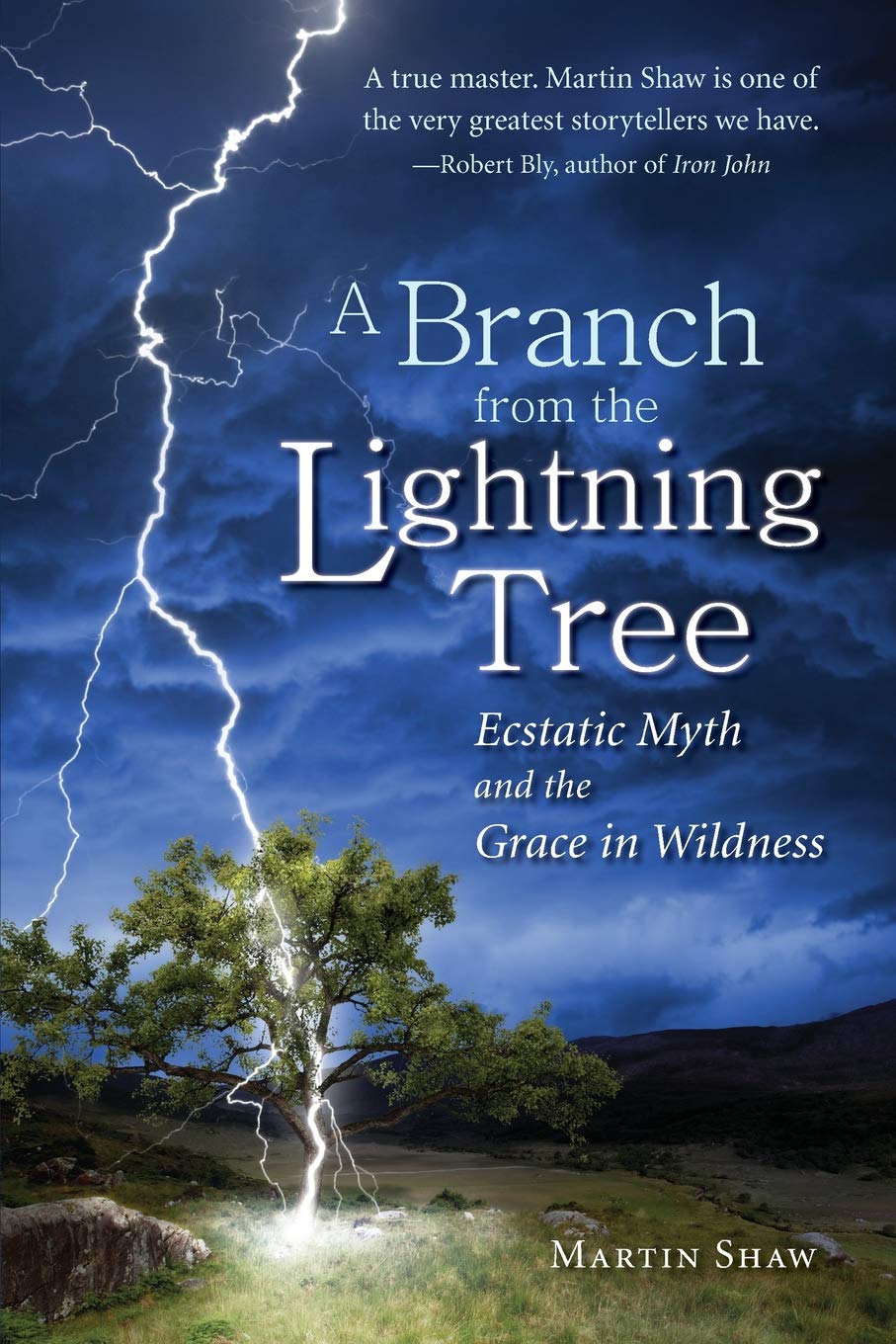 A Branch from the Lightning Tree: Ecstatic Myth and the Grace of Wildness Books