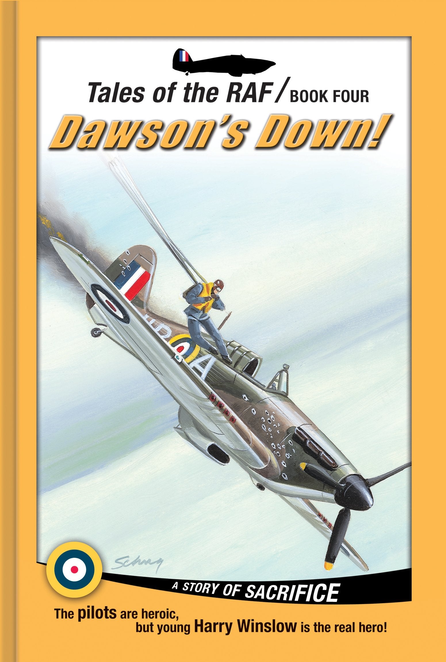 Dawson's Down!: A Story of Sacrifice (Tales of the RAF, Band 4) Fiction