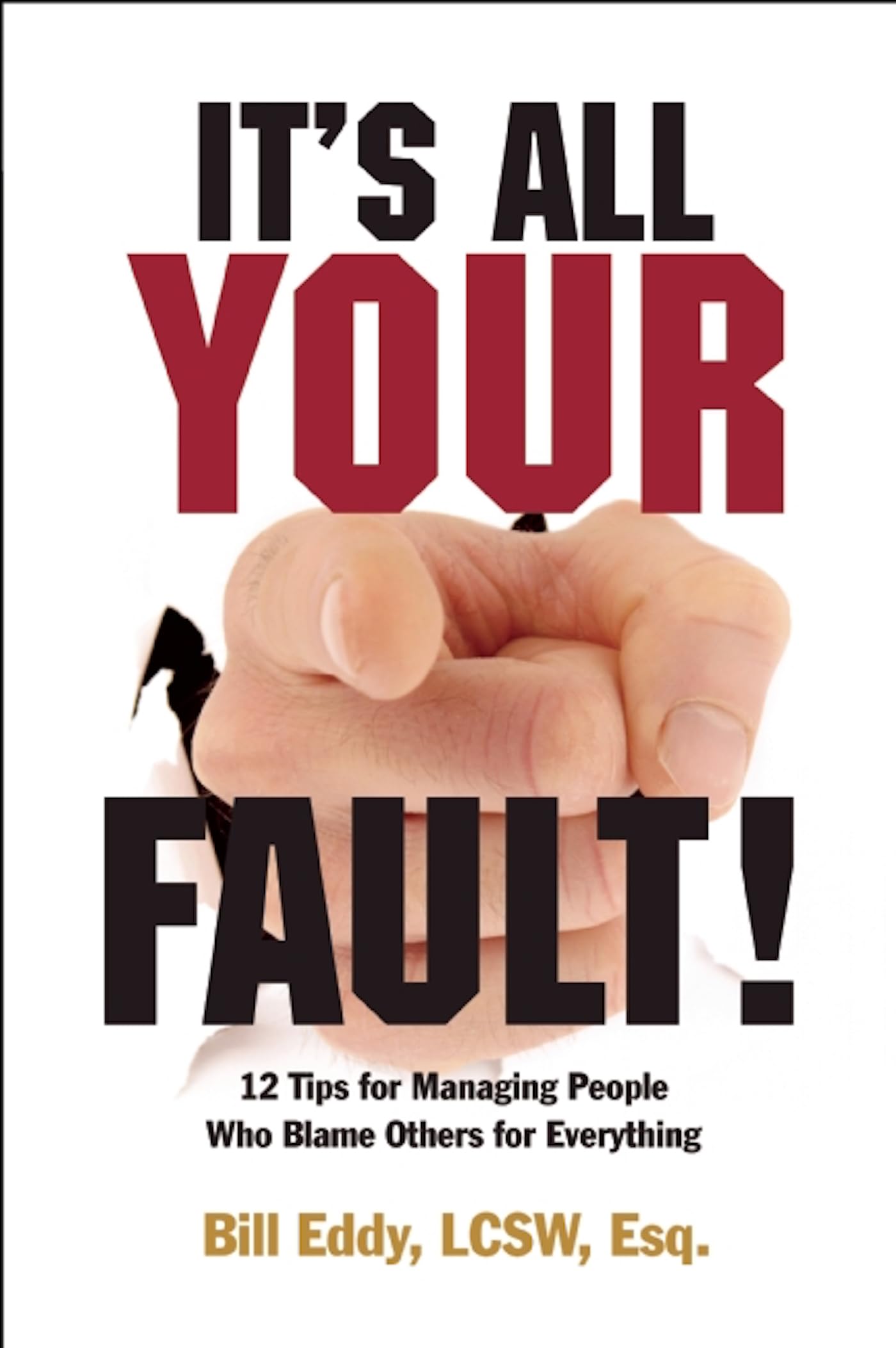 It's All Your Fault!: 12 Tips for Managing People Who Blame Others for Everything Law