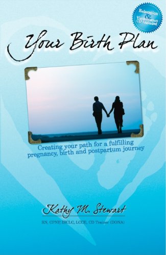 Your Birth Plan Creating Your Path to a Fulfilling Pregnancy Books