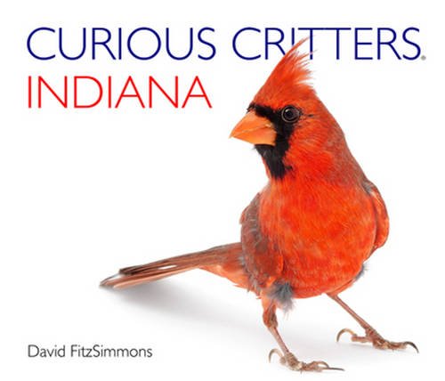Product Image: Curious Critters Indiana