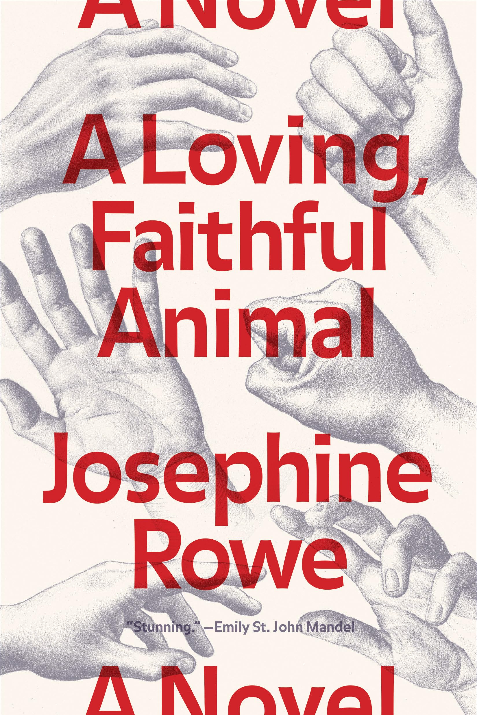 A Loving, Faithful Animal: A Novel Contemporary literature