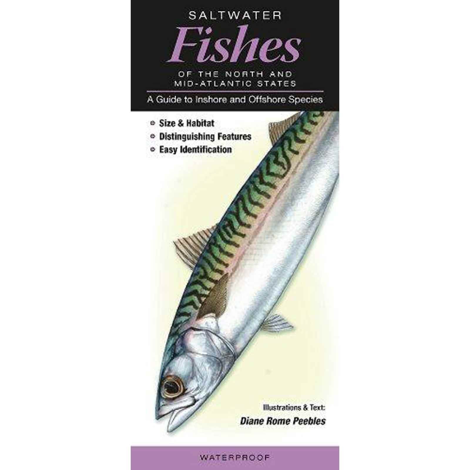 Saltwater Fishes of the Northern and Mid-atlantic States: A Guide to Inshore and Offshore Species book
