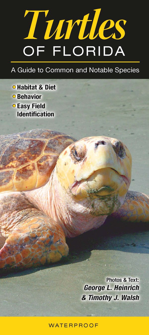 Turtles of Florida: A Guide to Common & Notable Species (Quick Reference Guides) Mathematics