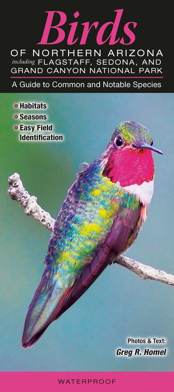 Birds of Northern Arizona Including Flagstaff, Sedona, & Grand Canyon National Park: A Guide to Common & Notable Species Computer Science