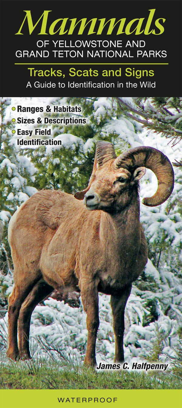 Tracks, Scats & Signs of Yellowstone & Grand Teton National Parks: A Guide to Identification in the Wild Mathematics