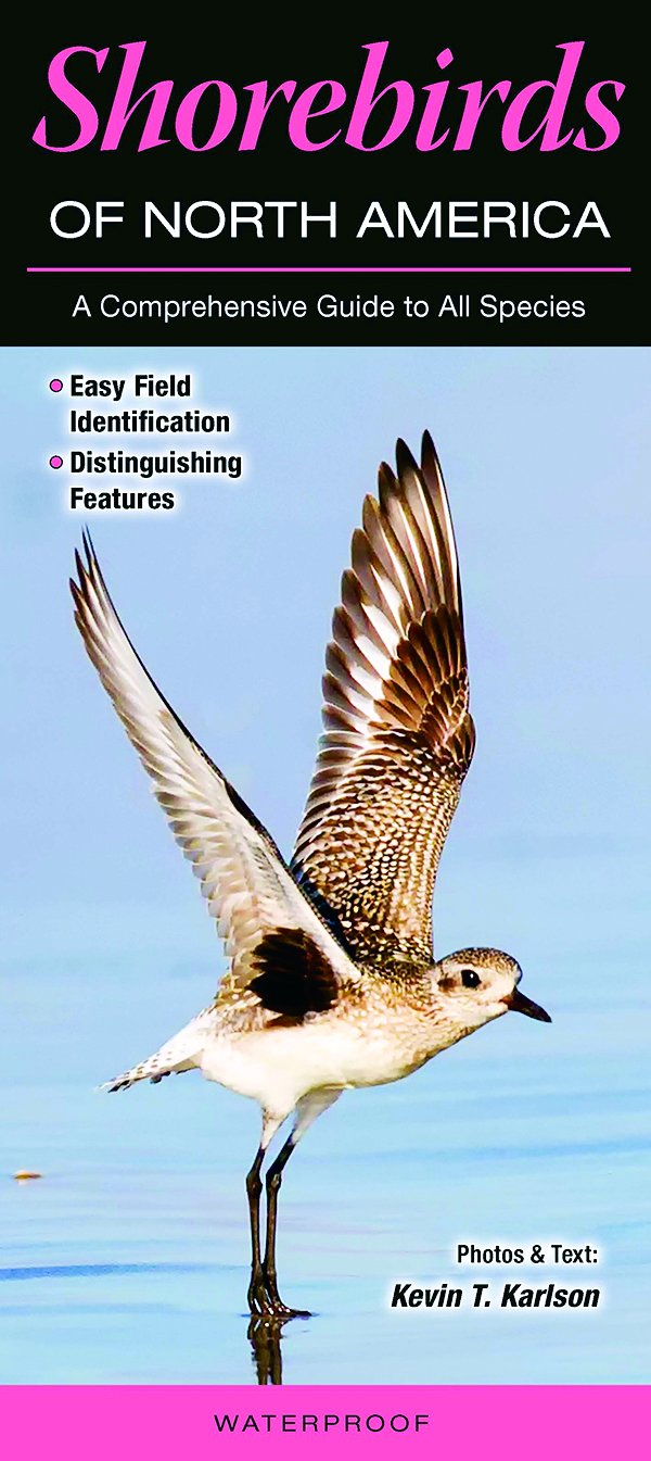 Shorebirds of North America: A Comprehensive Guide to All Species book