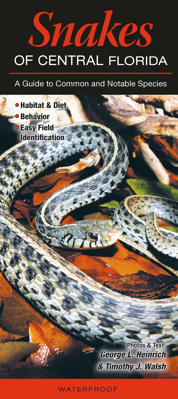 Snakes of Central Florida: A Guide to Common & Notable Species (Quick Reference Guides) Mathematics