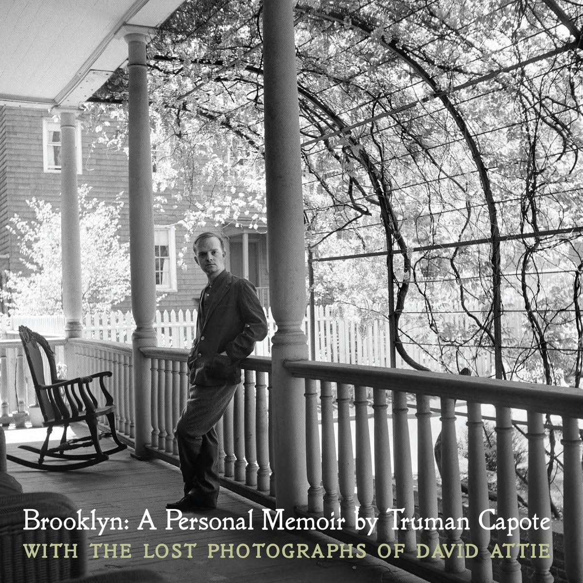 Brooklyn: A Personal Memoir: With the Lost Photographs of David Attie Art & Literature
