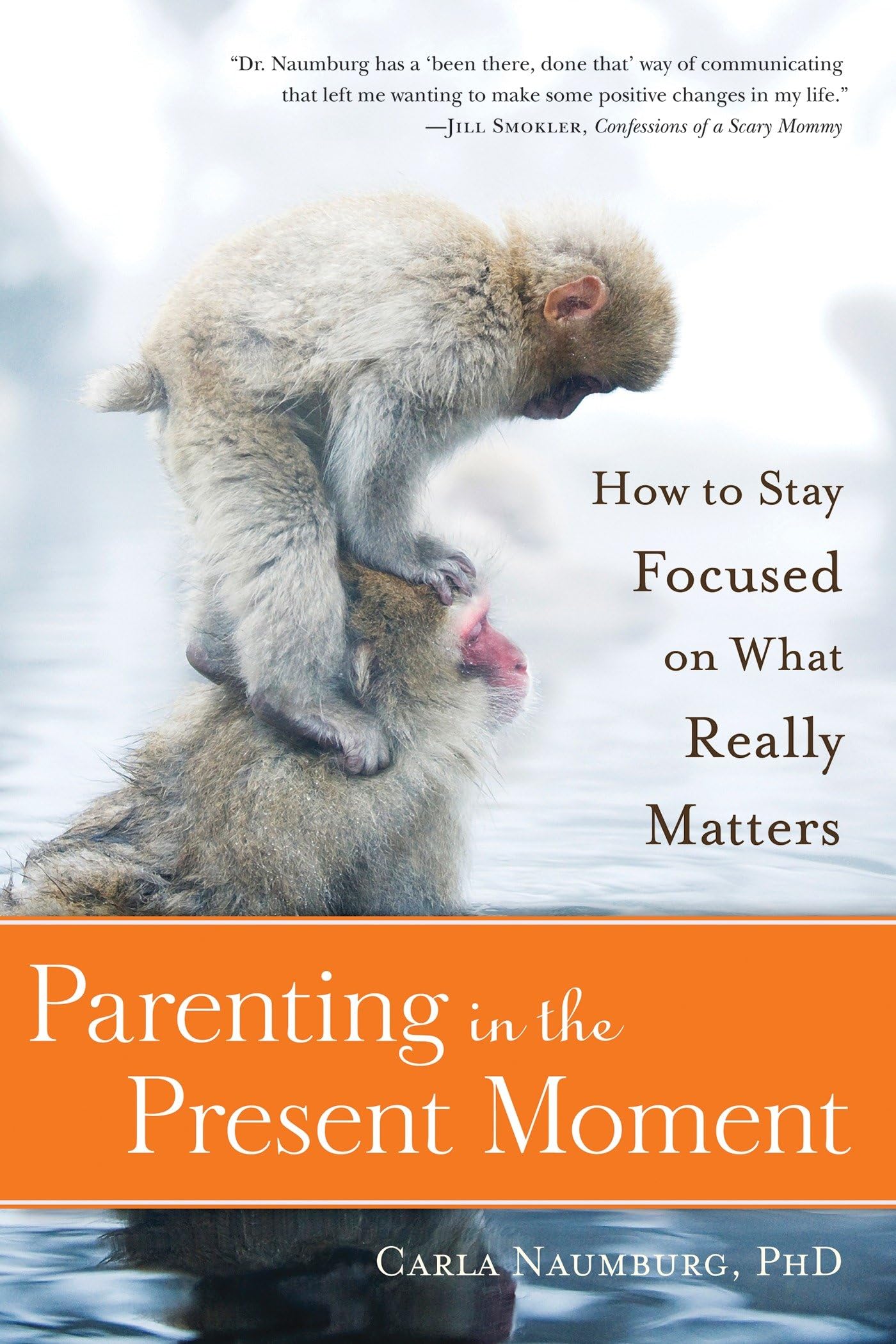 Parenting in the Present Moment Philosophy