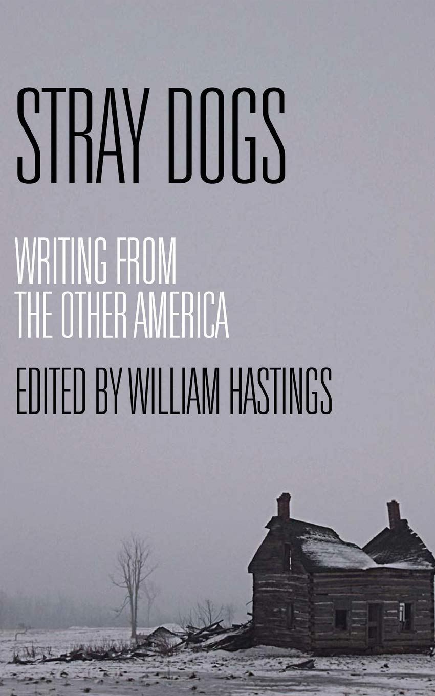 Stray Dogs: Writing from the Other America Contemporary literature