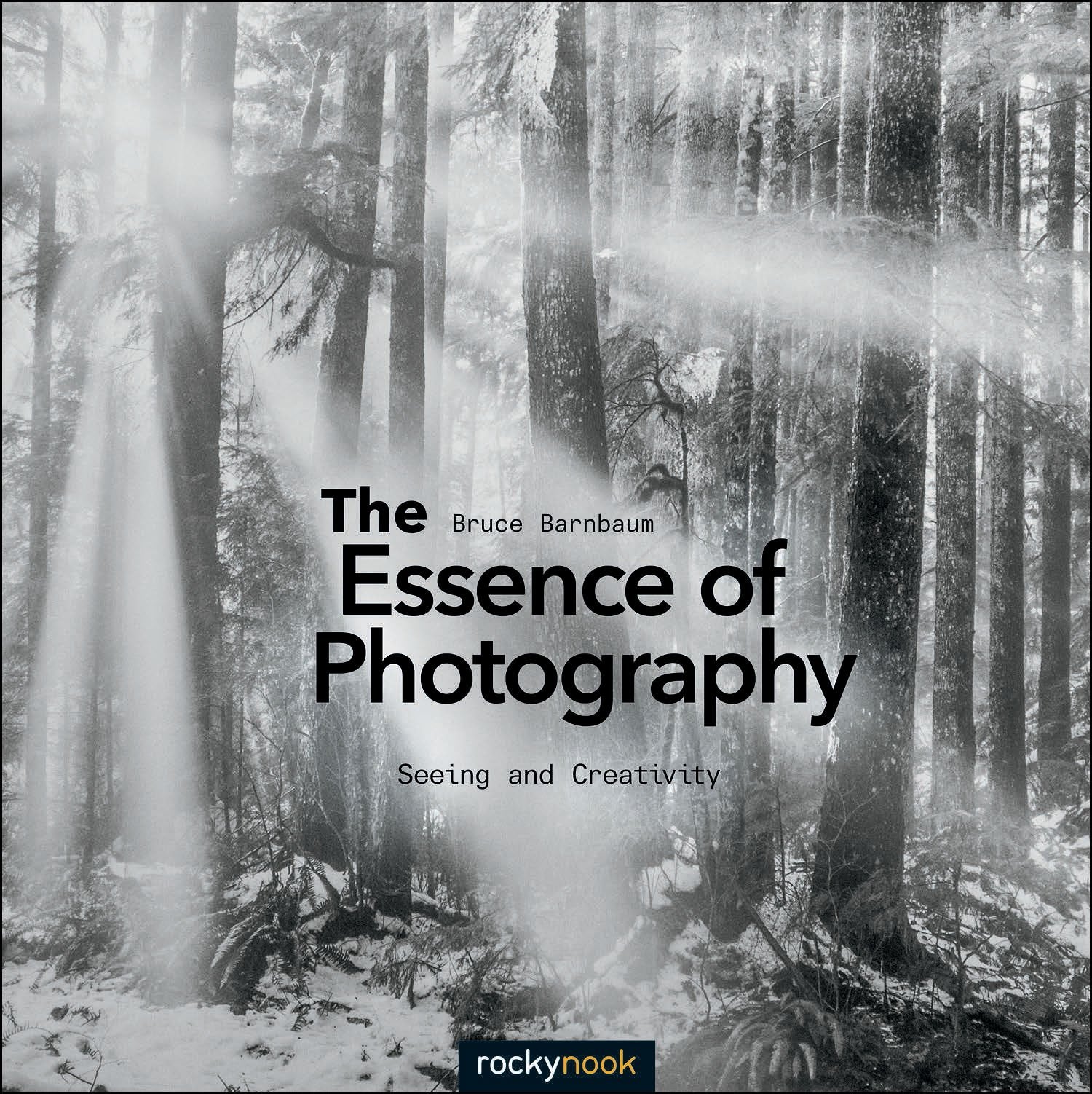 The Essence of Photography: Seeing and Creativity Computer Science