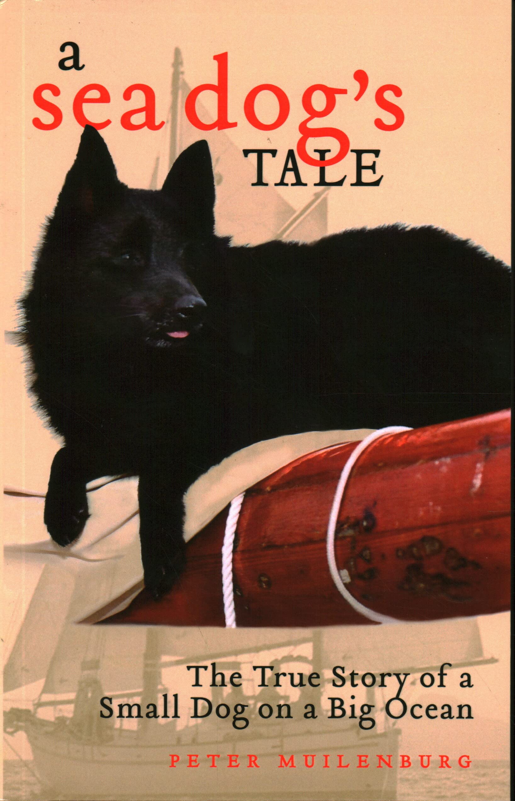 A Sea Dog's Tale: The True Story of a Small Dog on a Big Ocean Mathematics