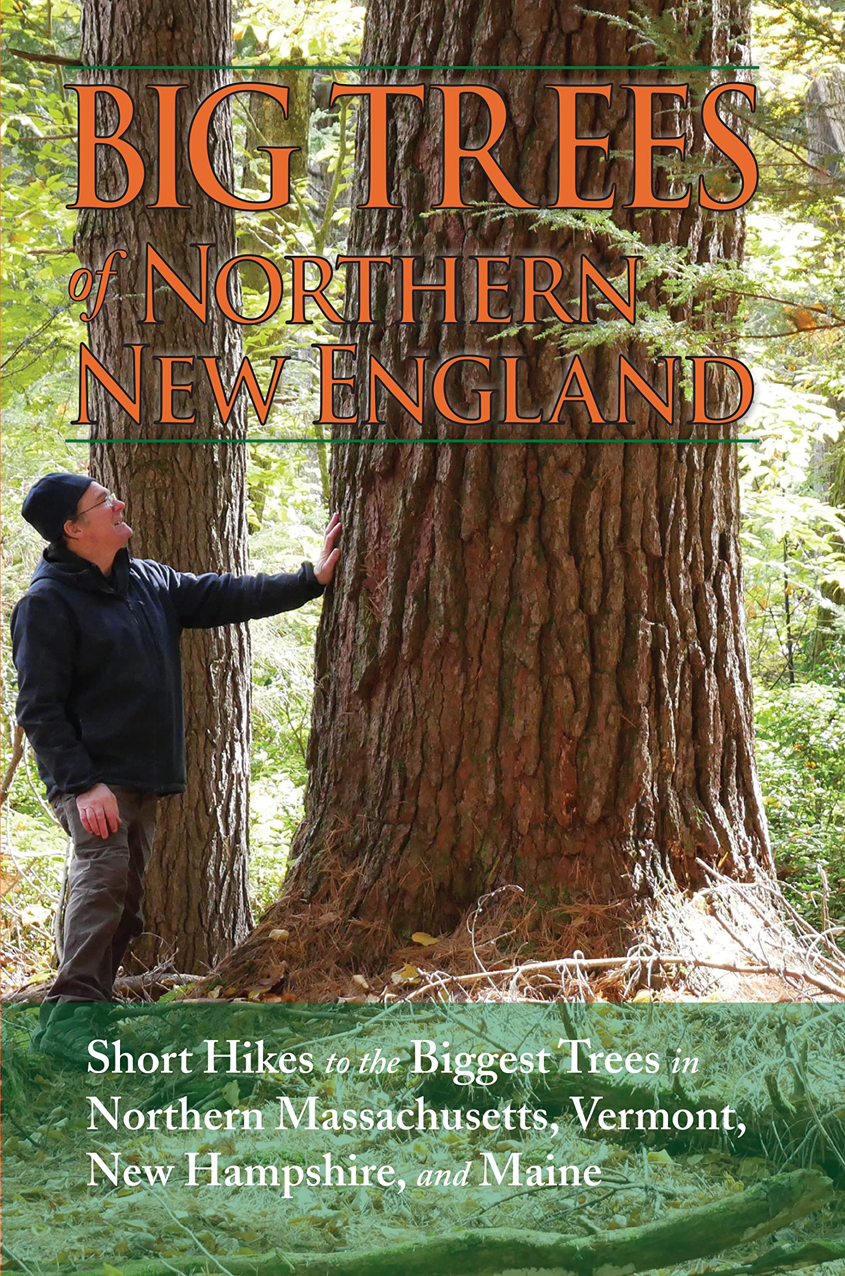 Big Trees of Northern New England: Short Hikes to the Biggest Trees in Northern Massachusetts, Vermont, New Hampshire and Maine Mathematics