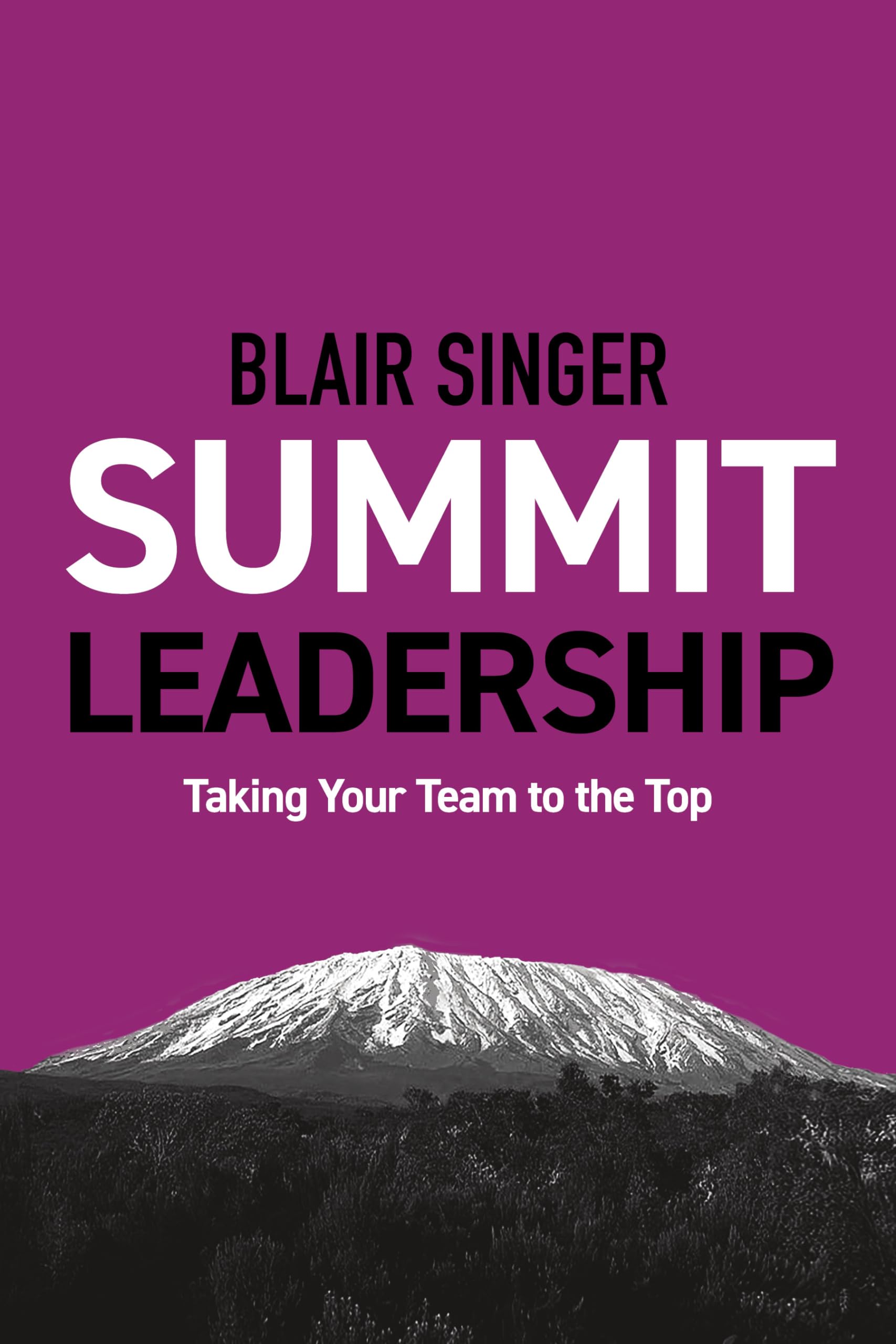 Product Image: Summit Leadership