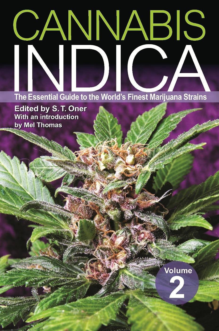 Cannabis Indica: The Essential Guide to the World's Finest Marijuana Strains book