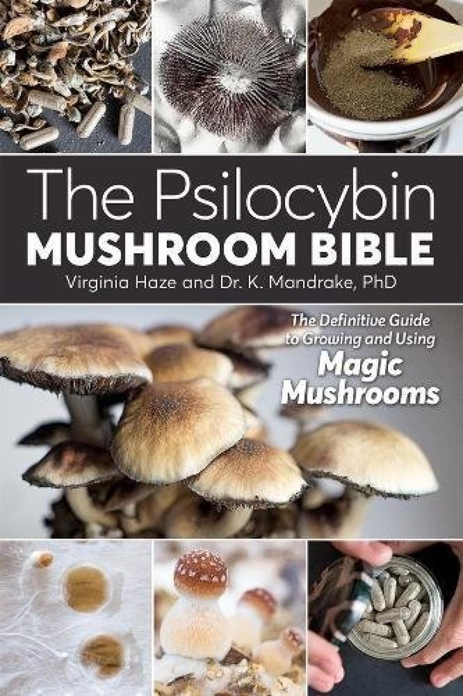 The Psilocybin Mushroom Bible Social Sciences