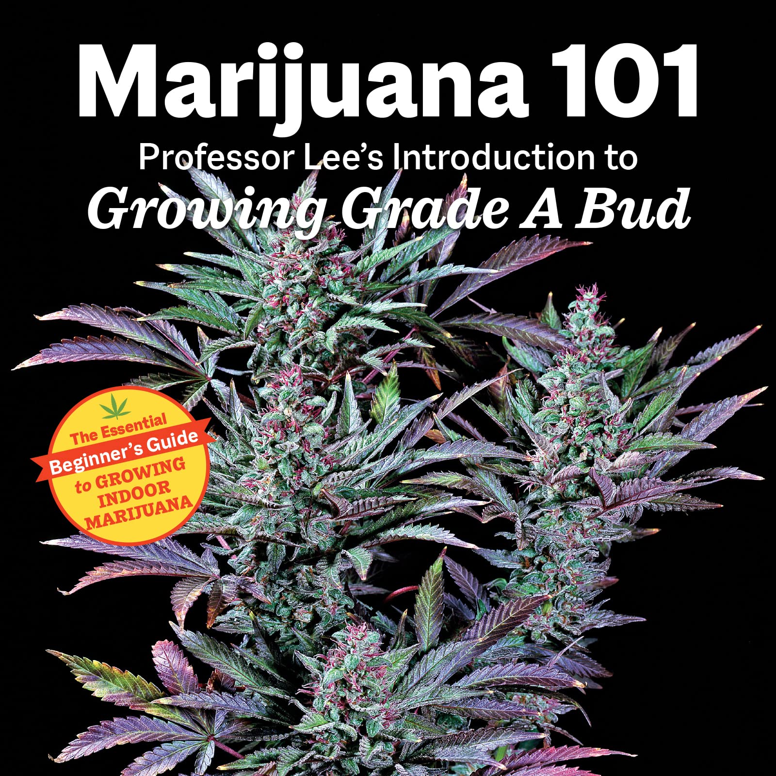 Marijuana 101: Professor Lee's Introduction to Growing Grade a Bud Garden & Plants