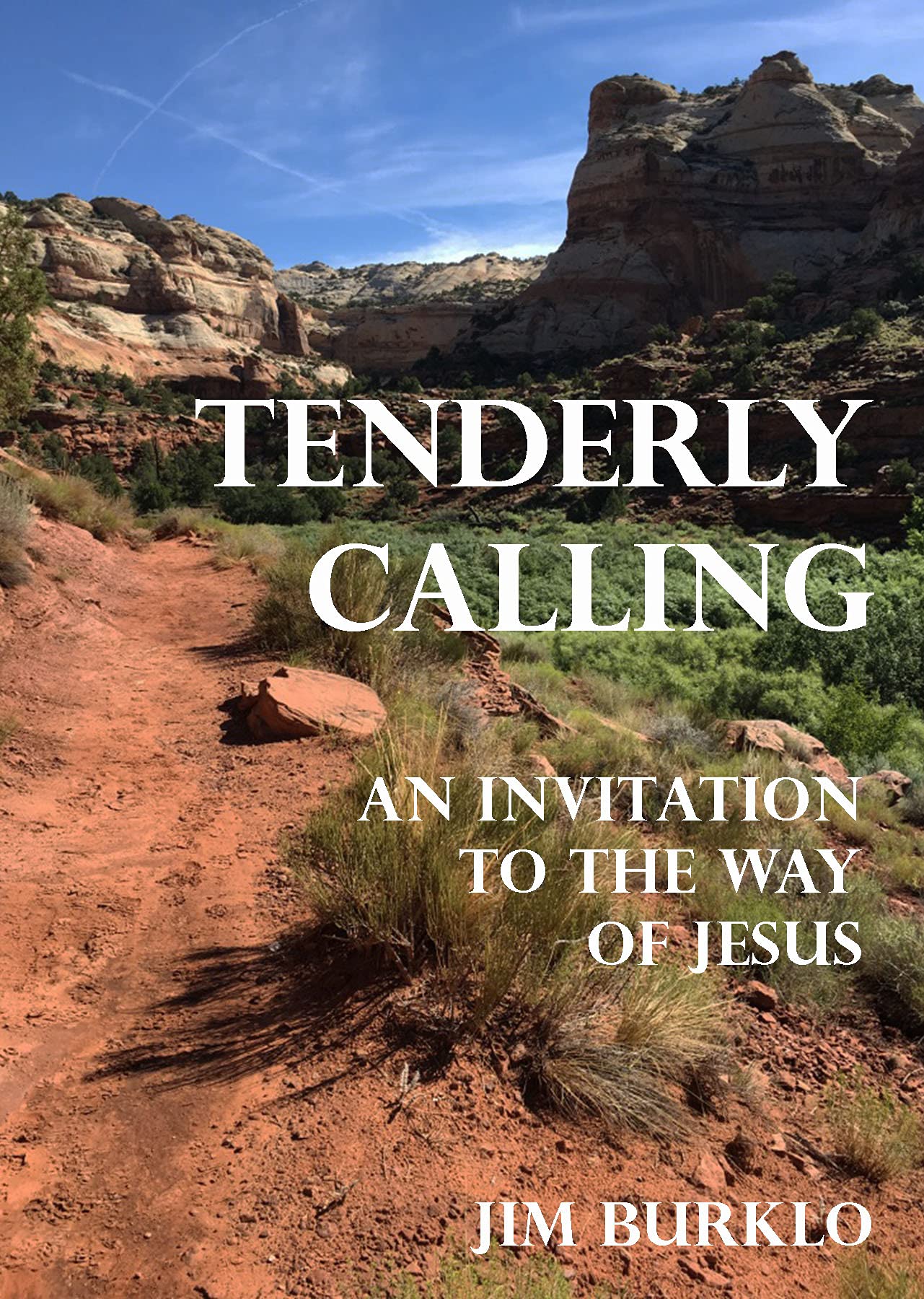 Tenderly Calling: An Invitation to the Way of Jesus Books