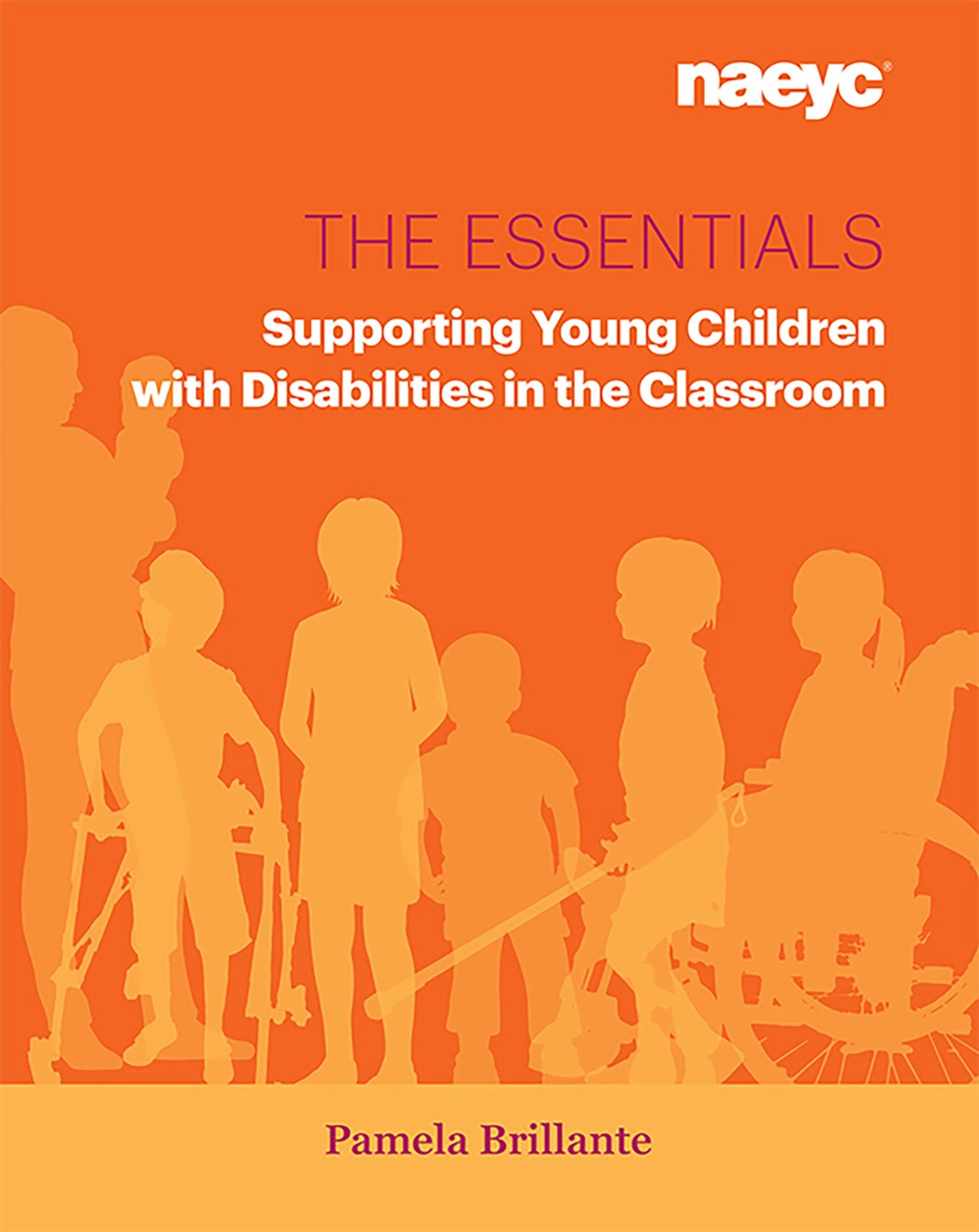 The Essentials: Supporting Young Children with Disabilities in the Classroom (The Essentials Series) Business, Finance & Career