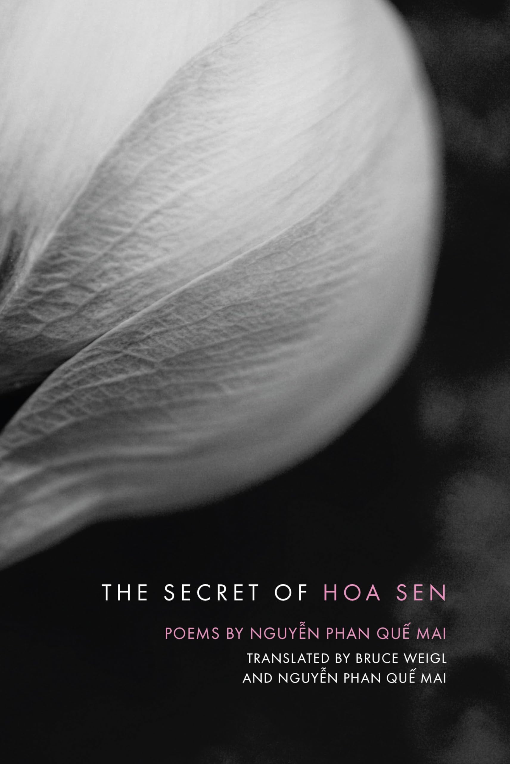 Secret of Hoa Sen Poetry