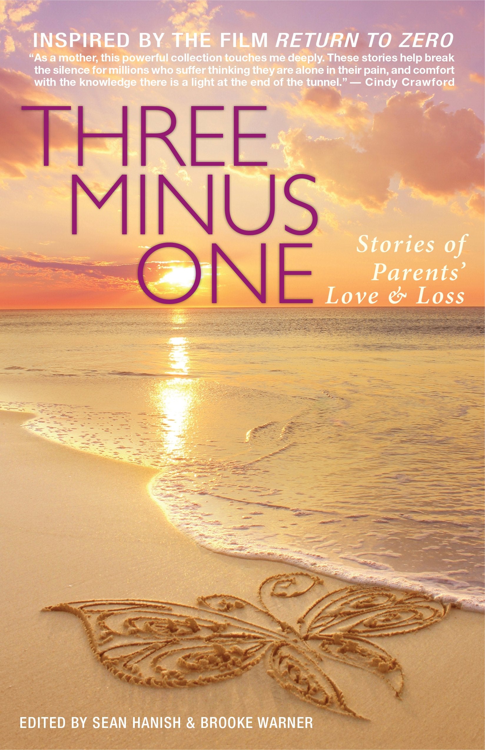 Three Minus One: Stories of Parents' Love and Loss Medicine