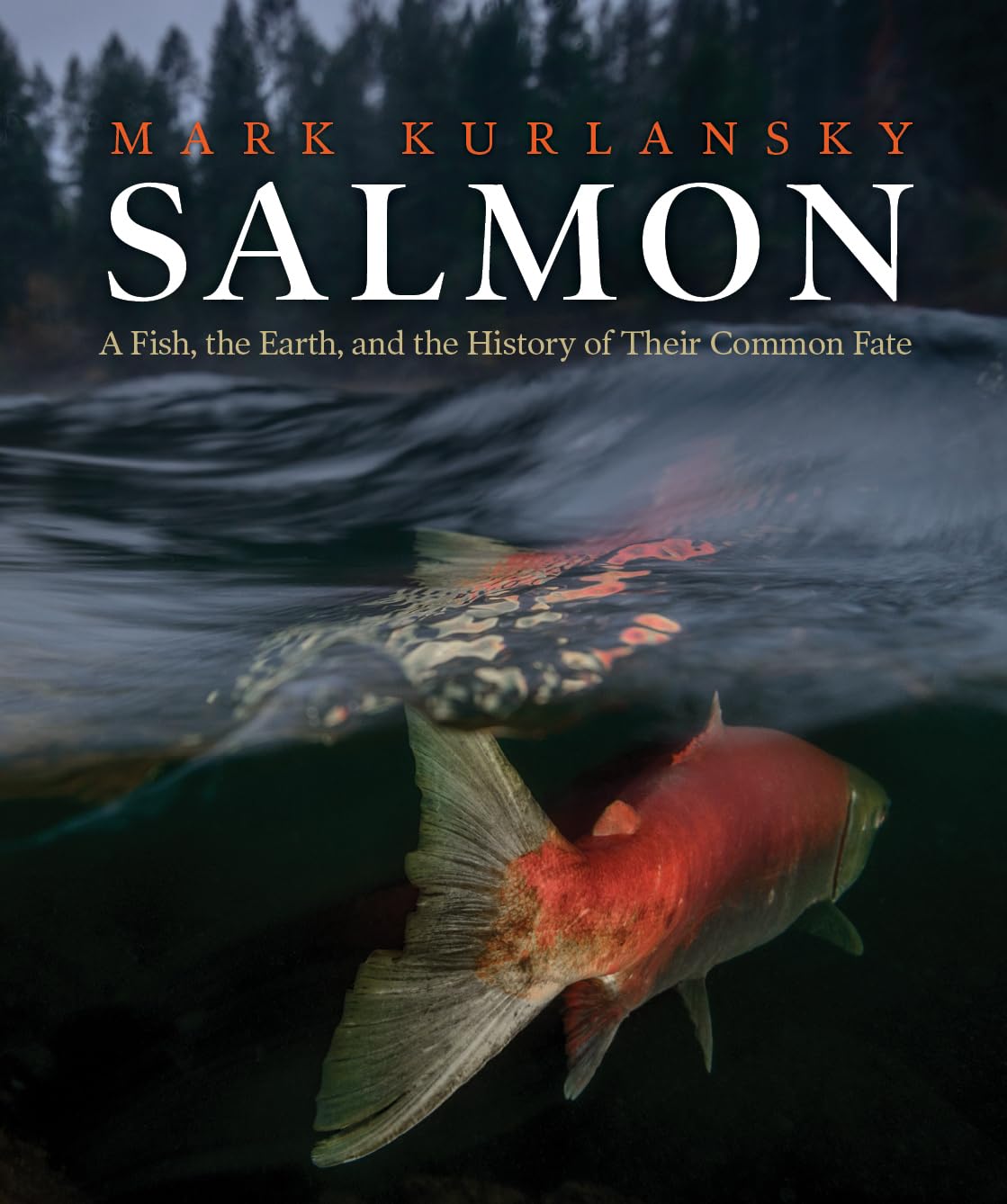 Salmon Geology & Geography