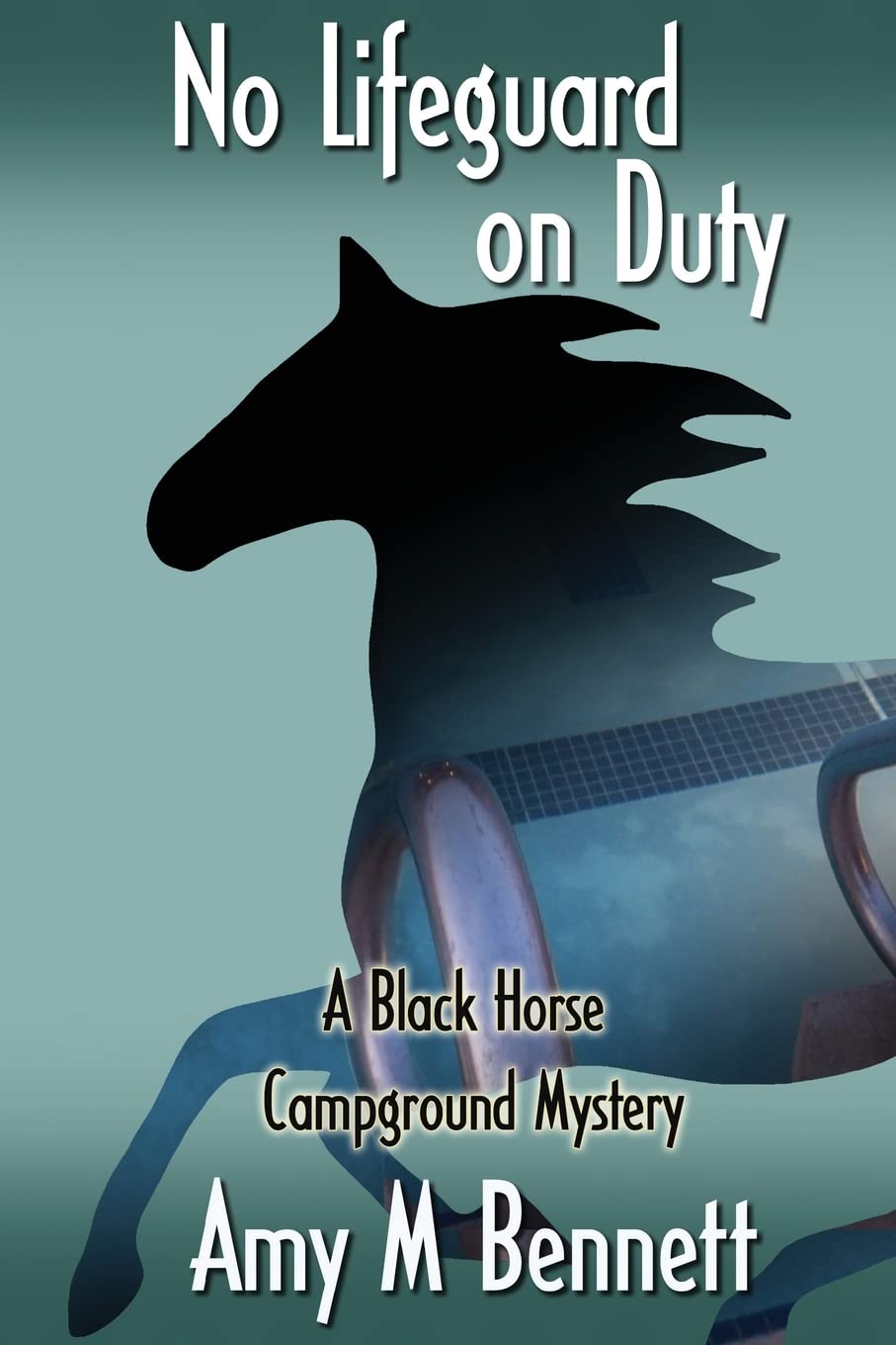 No Lifeguard on Duty (Black Horse Campground) Contemporary literature