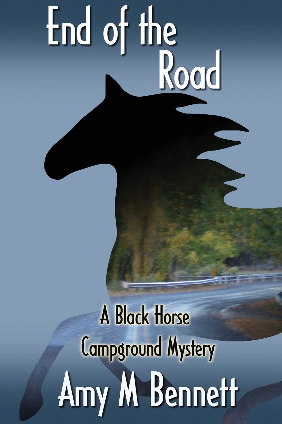 End of the Road (Black Horse Campground Mystery) Contemporary literature