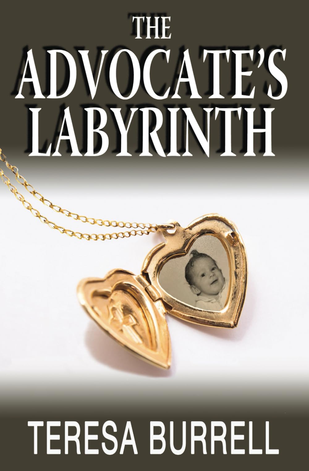 The Advocate's Labyrinth (The Advocate Series, Band 12) Contemporary literature