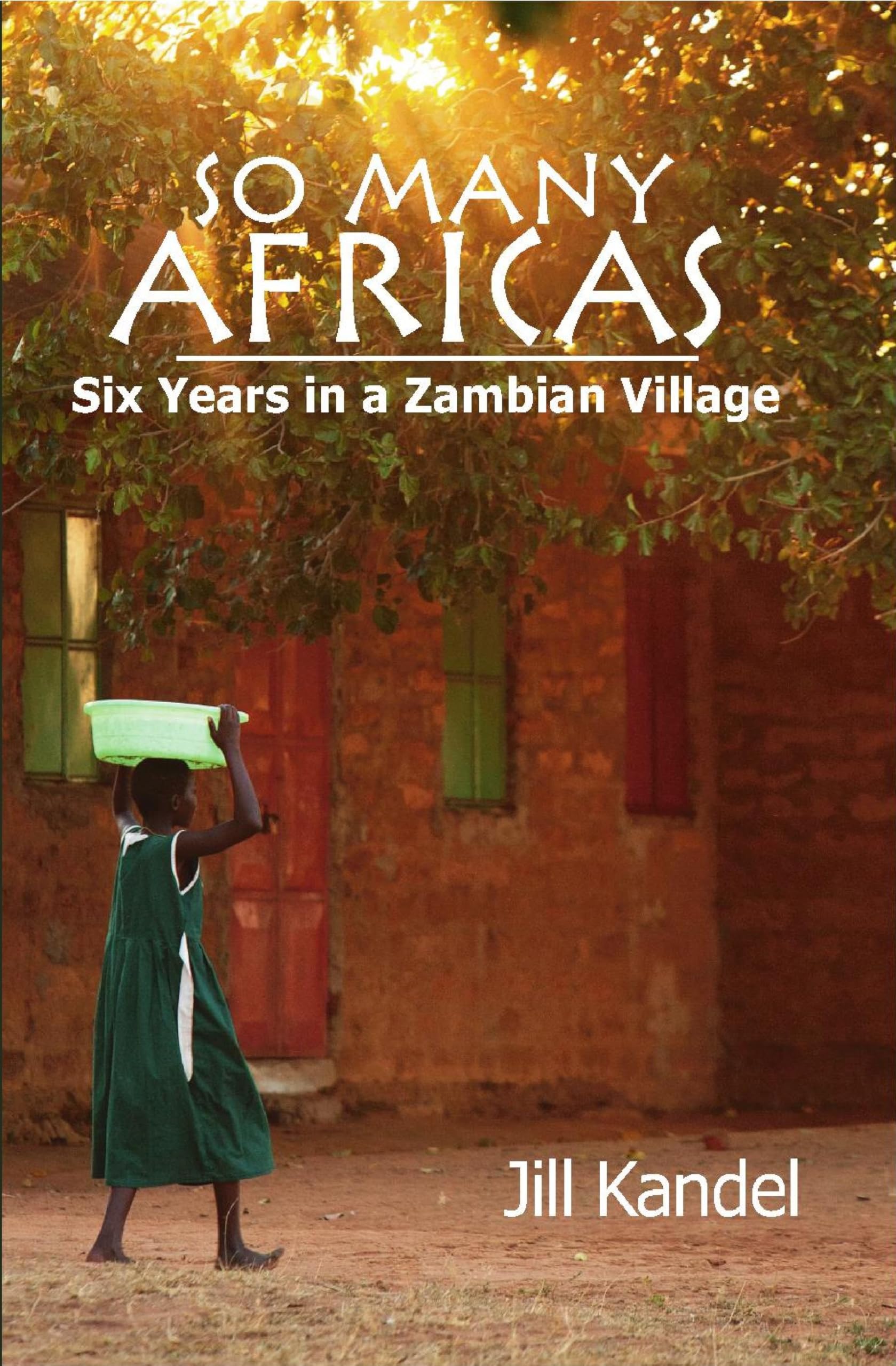 So Many Africas: Six Years in a Zambian Village (Autumn House Press Nonfiction Prize) Contemporary literature Books