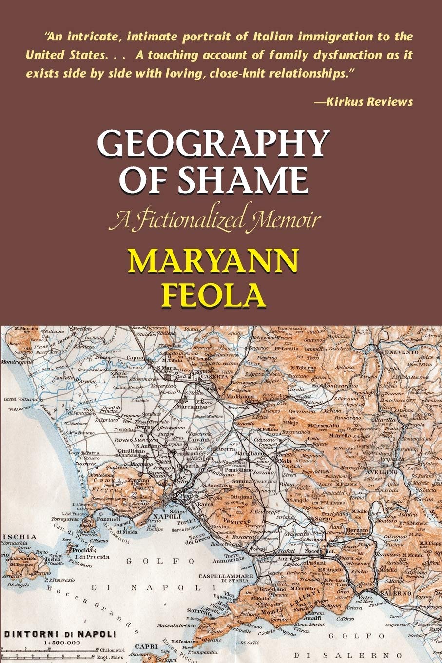 Geography of Shame: A Fictionalized Memoir Contemporary literature