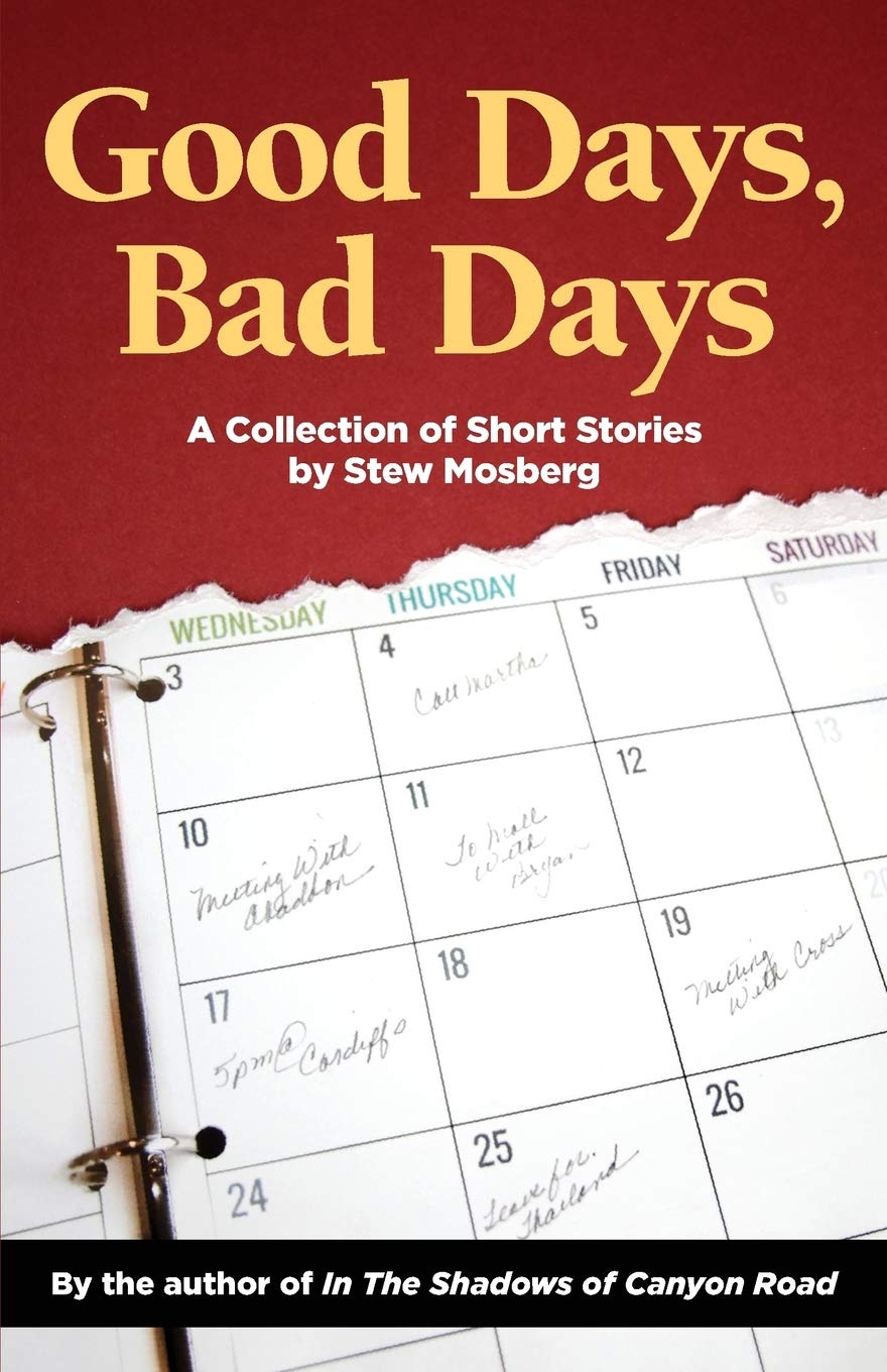 Good Days, Bad Days: A Collection of Short Stories Contemporary literature