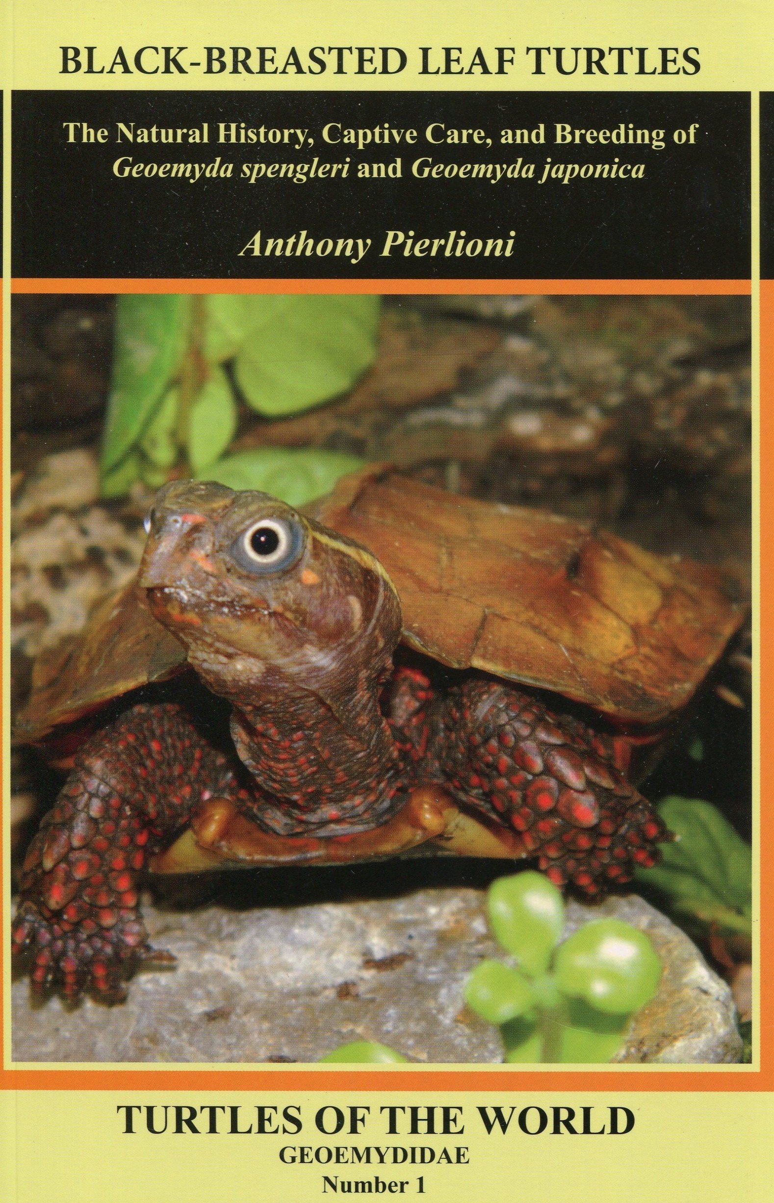 Black-breasted Leaf Turtles: The Natural History, Captive Care, and Breeding of Geoemyda spengleri and Geoemyda japonica Books