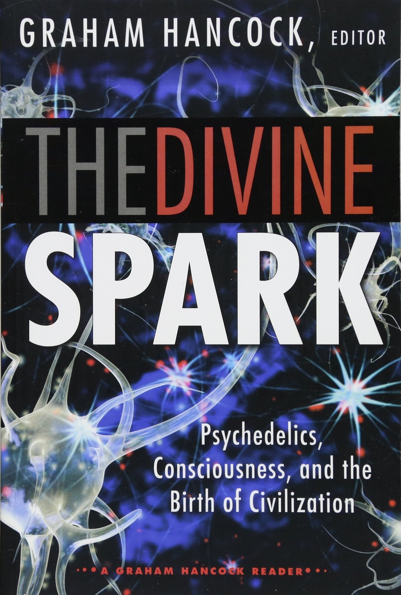 The Divine Spark: A Graham Hancock Reader: Psychedelics, Consciousness, and the Birth of Civilization Religion & Esotericism