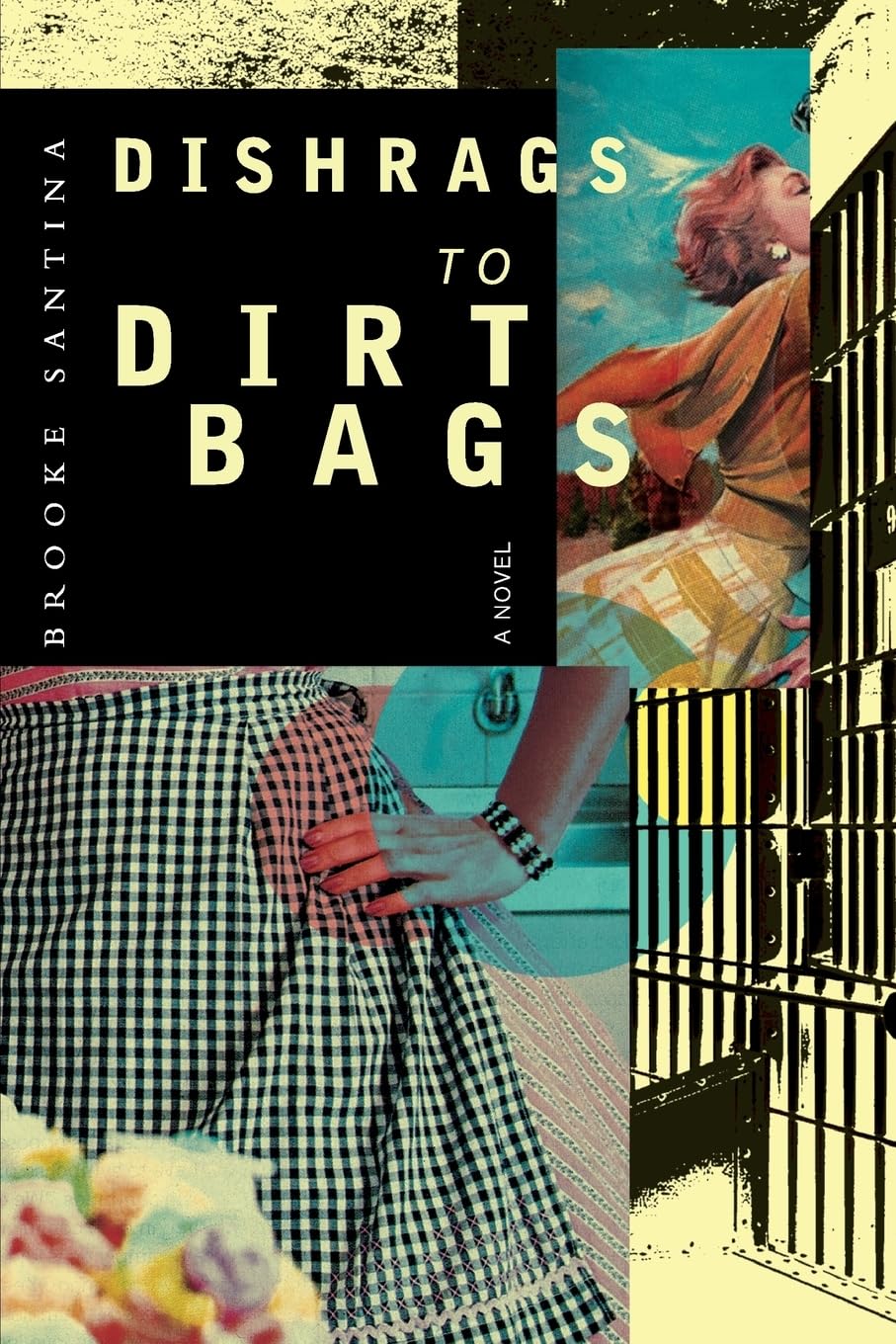Dishrags to Dirtbags Contemporary literature