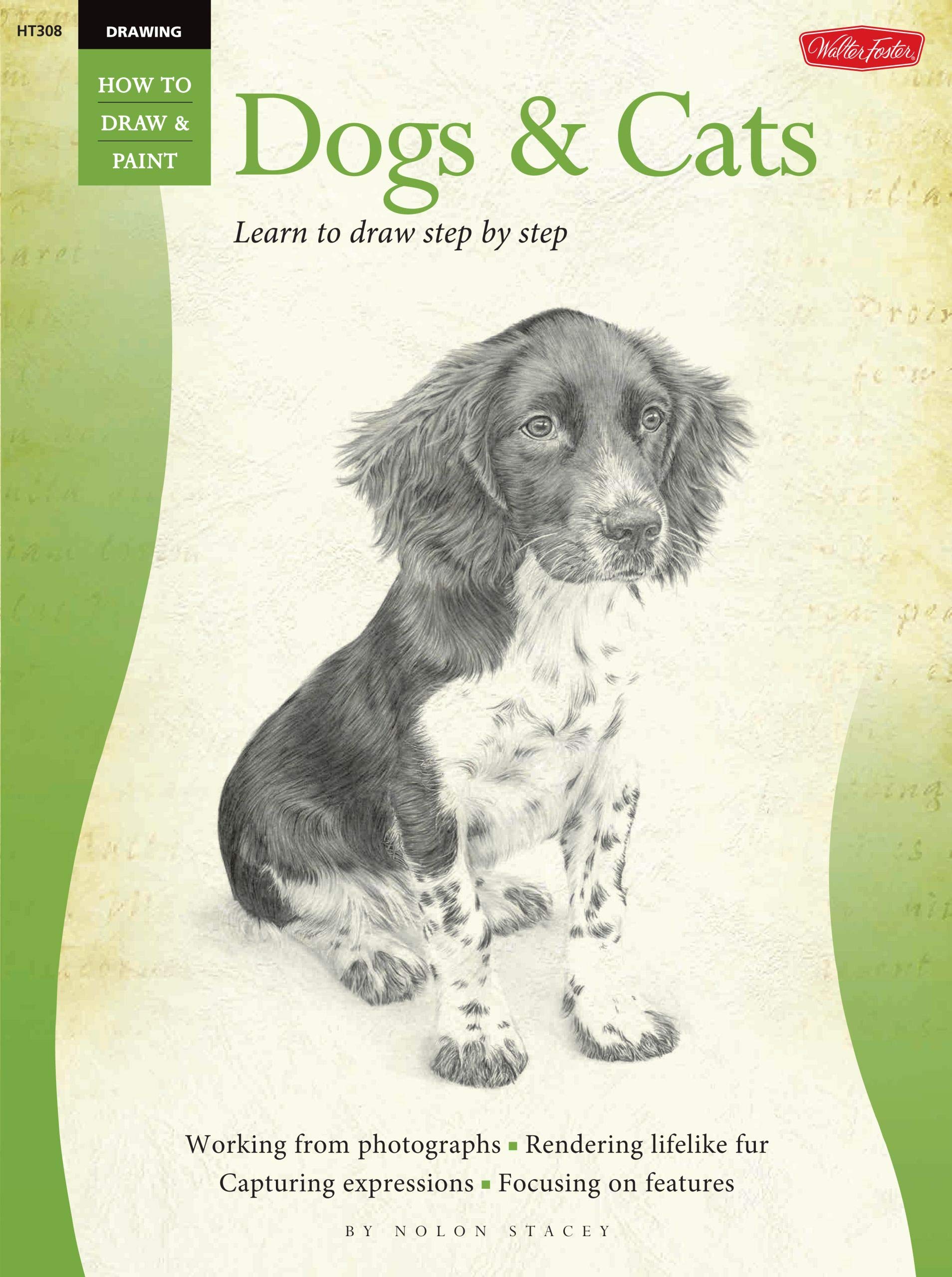 Dogs & Cats (How to Draw & Paint) Non-fiction