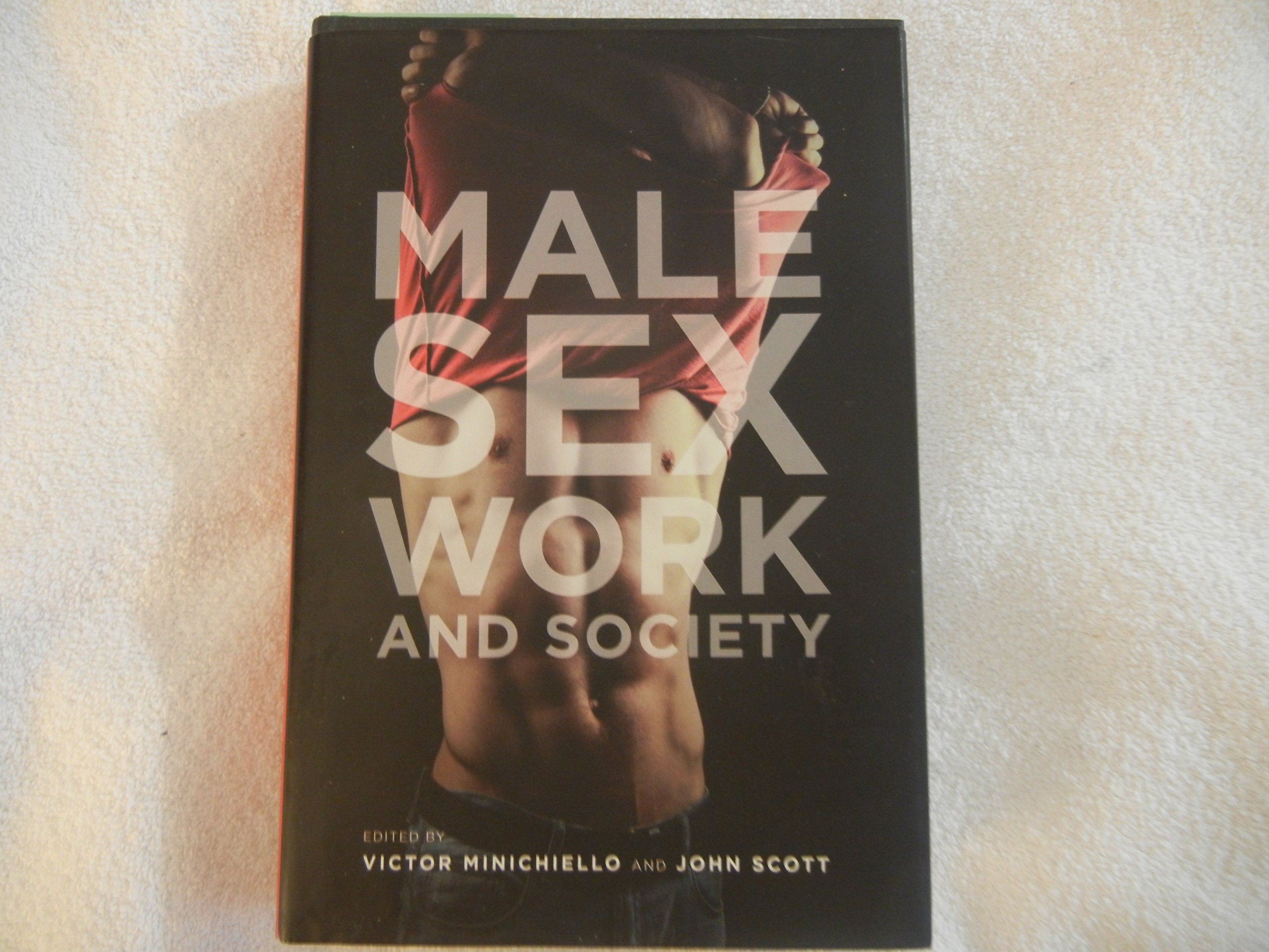 Male Sex Work and Society book