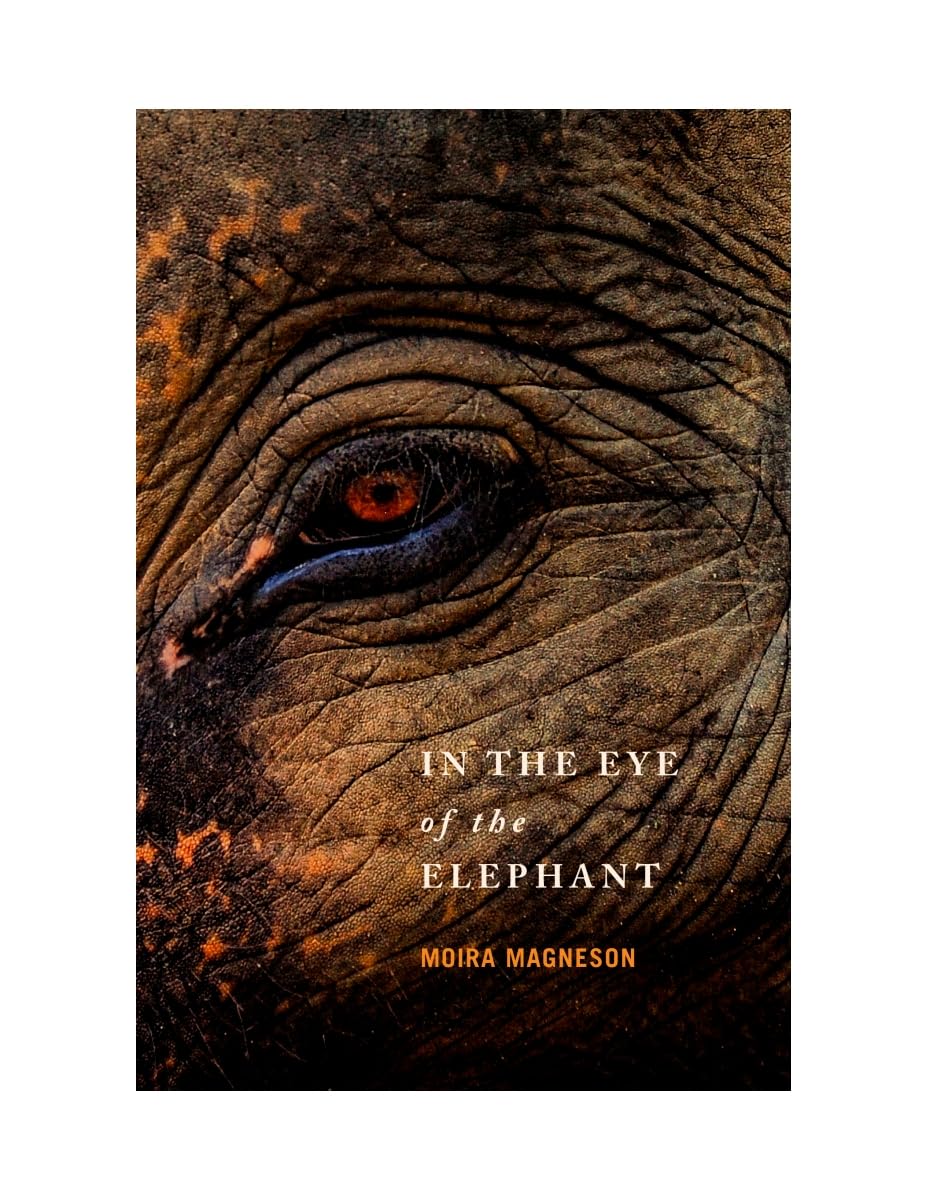 In the Eye of the Elephant Poetry