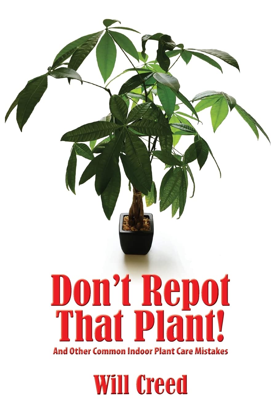 Don't Repot That Plant!: And Other Indoor Plant Care Mistakes Garden & Plants