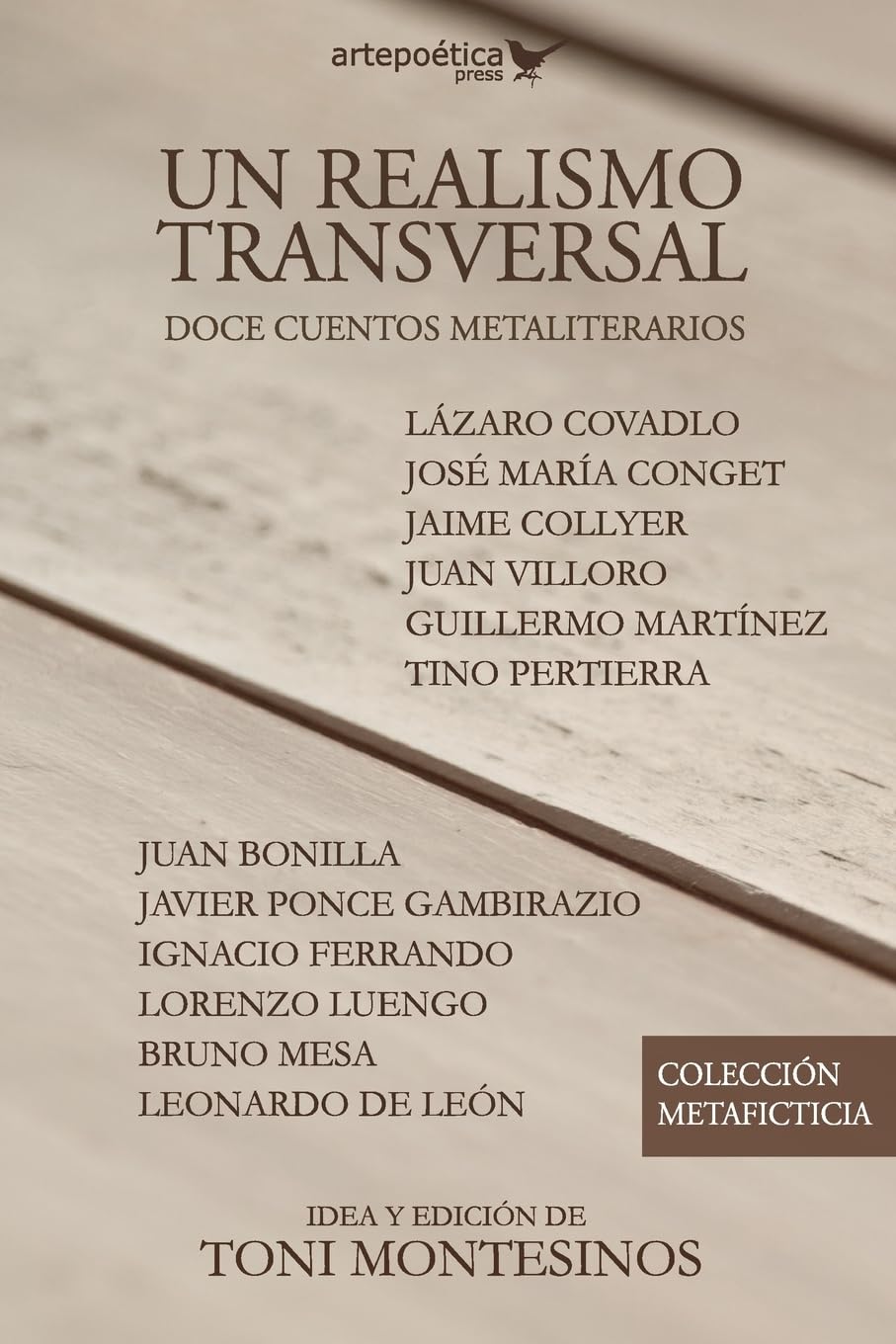 Un realismo transversal: doce cuentos metaliterarios book