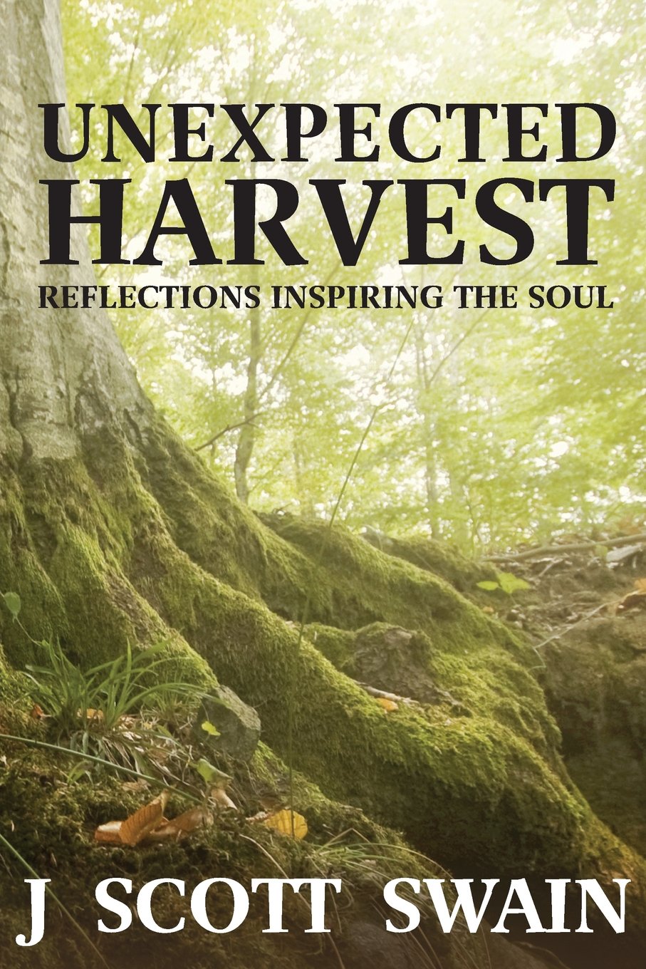 Unexpected Harvest: Reflections Inspiring the Soul Poetry