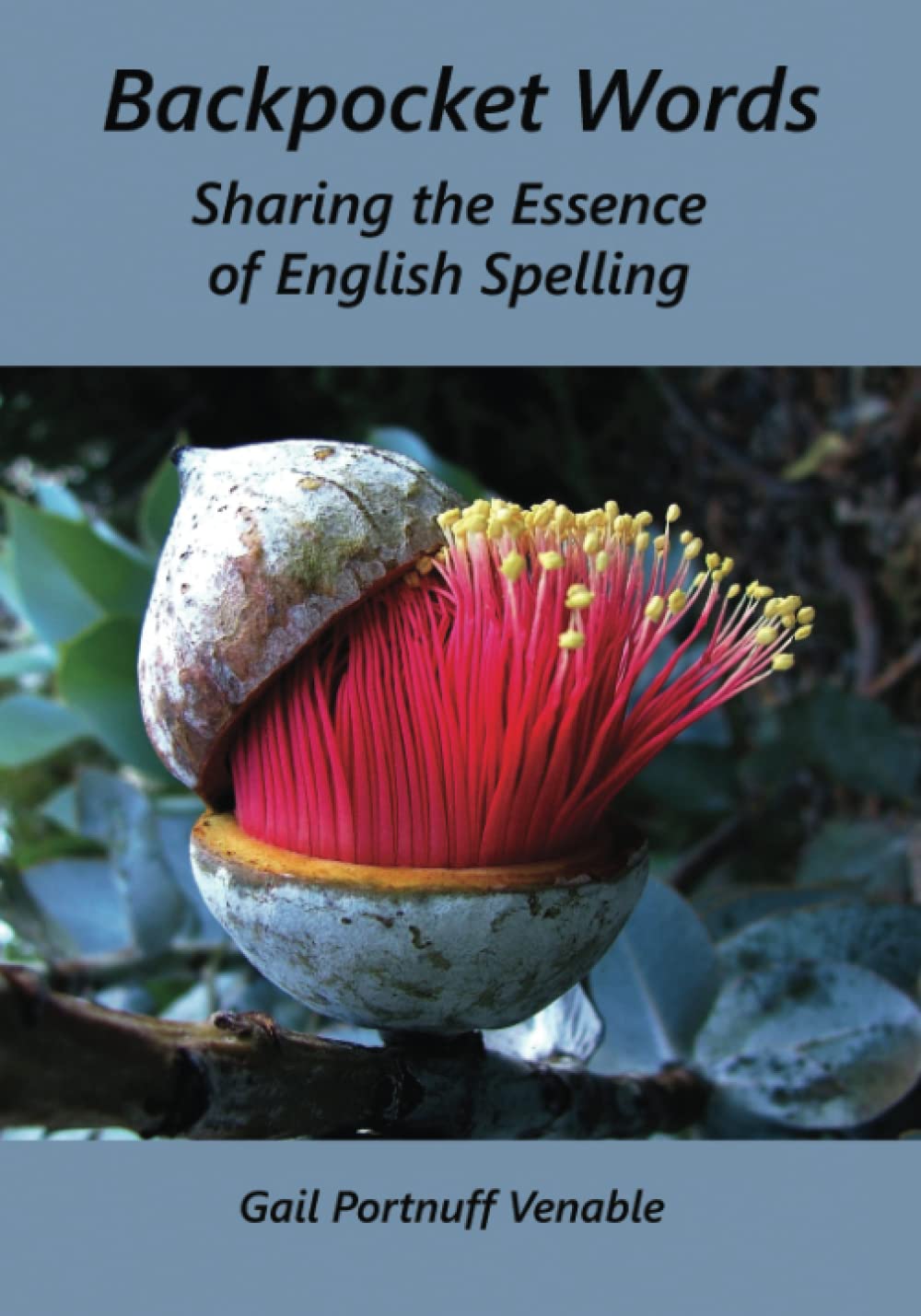Backpocket Words: Sharing the Essence of English Spelling Learning & Reference