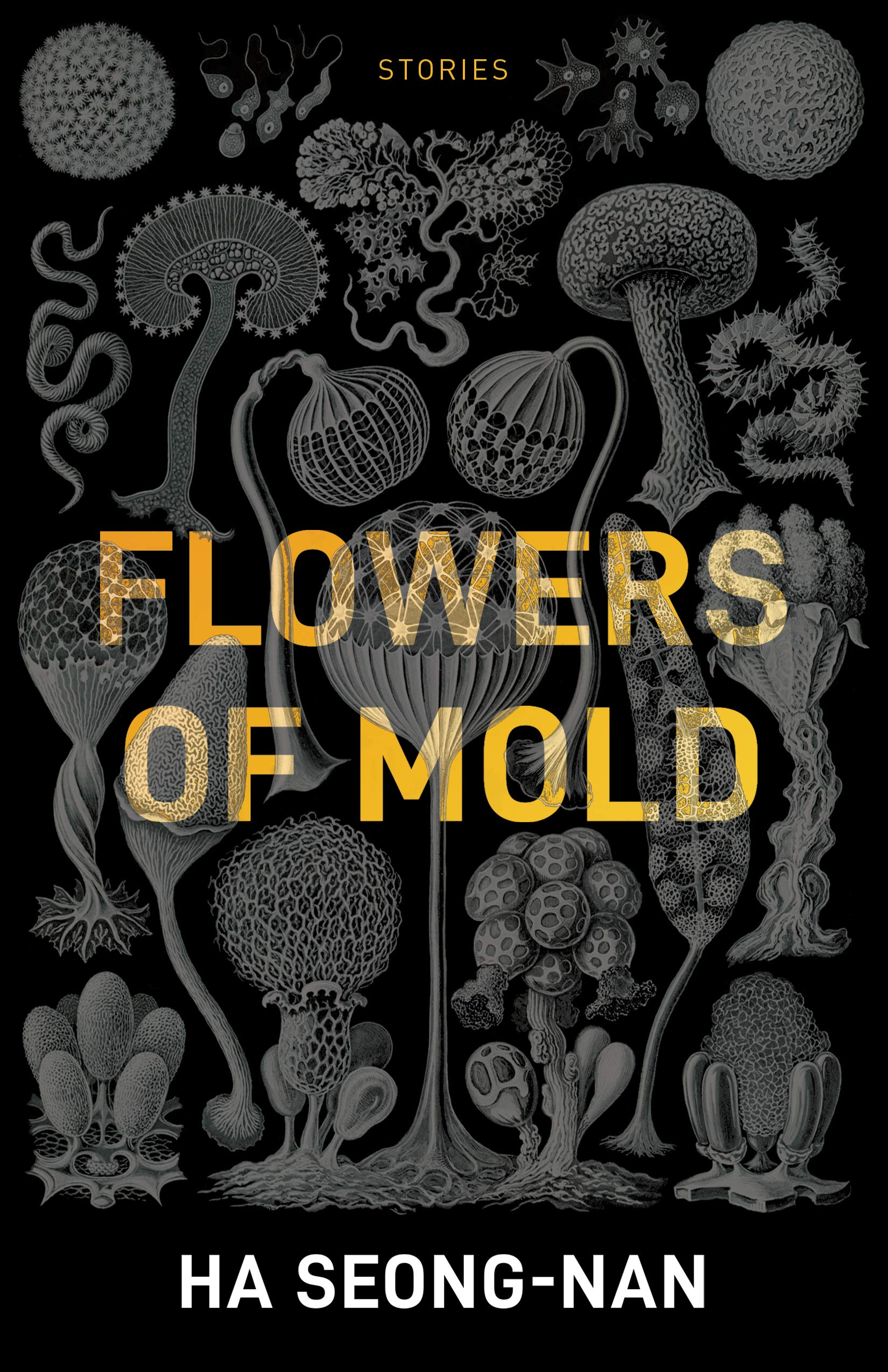 Flowers of Mold: Stories Essays & Short Stories
