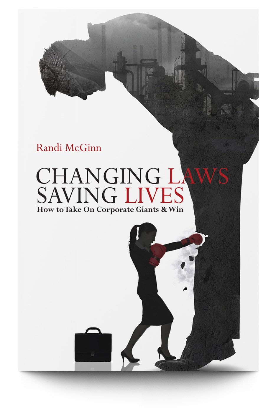 Changing Laws, Saving Lives : How to Take on Corporate Giants and Win Books