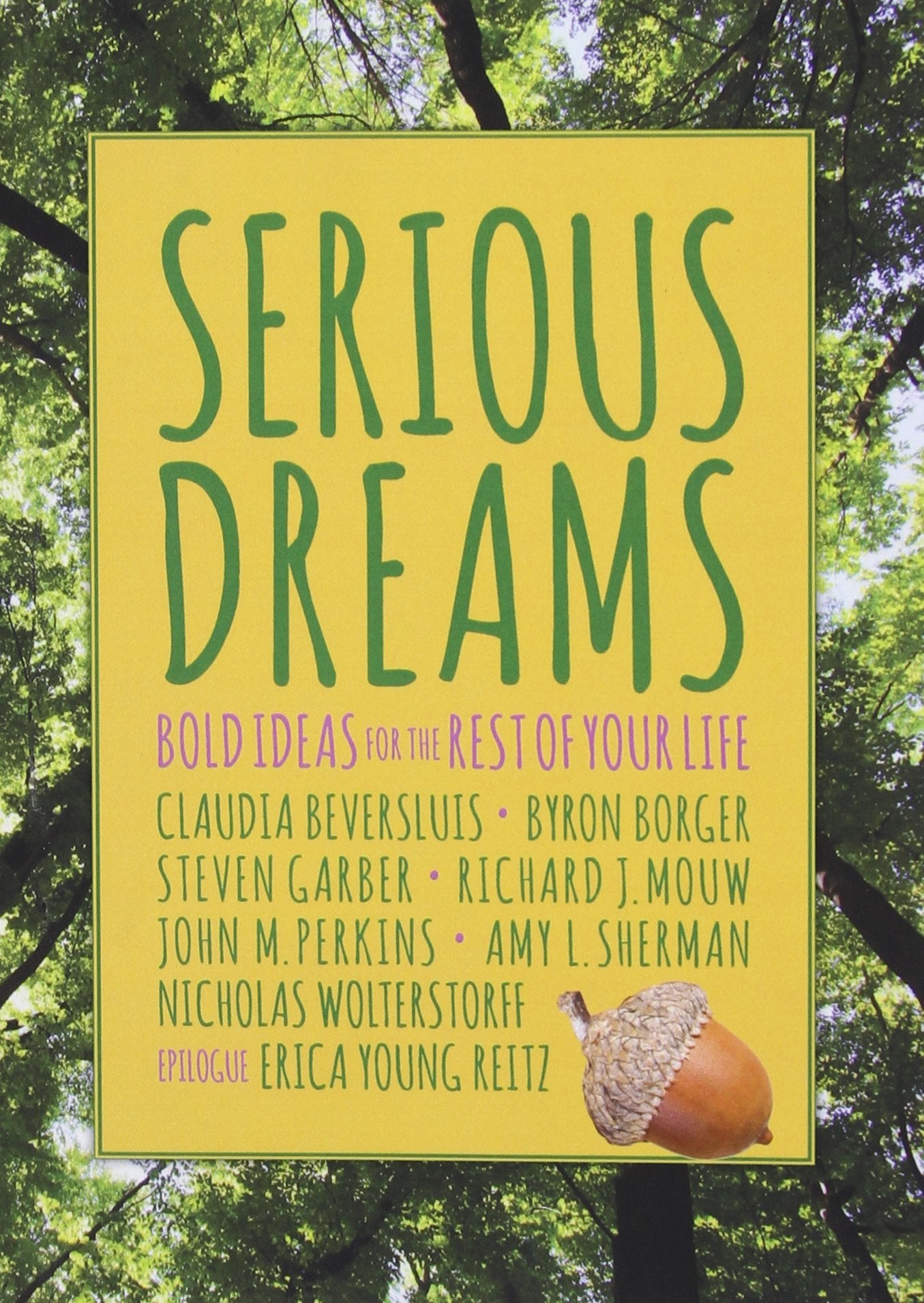 Serious Dreams: Bold Ideas for the Rest of Your Life Books