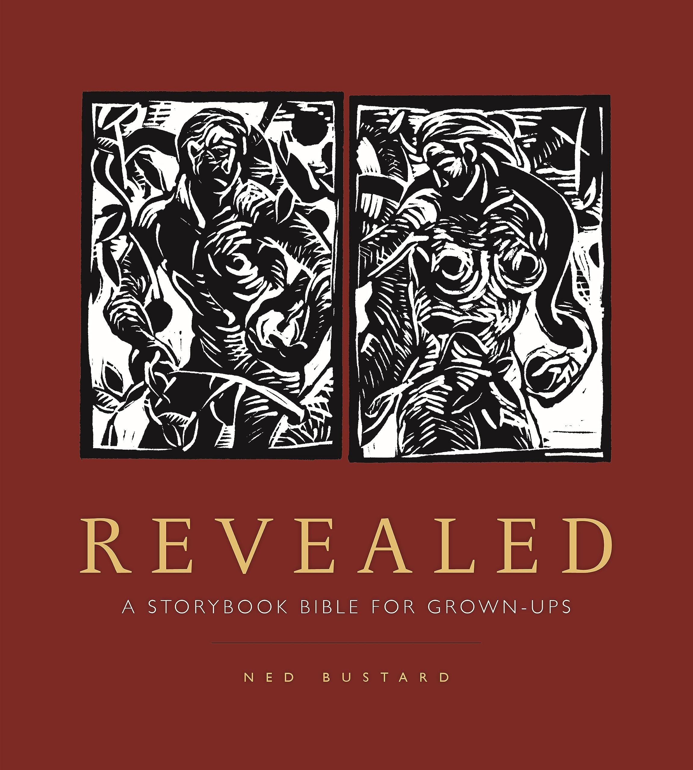 Revealed: A Storybook Bible for Grown-Ups Religion & Esotericism