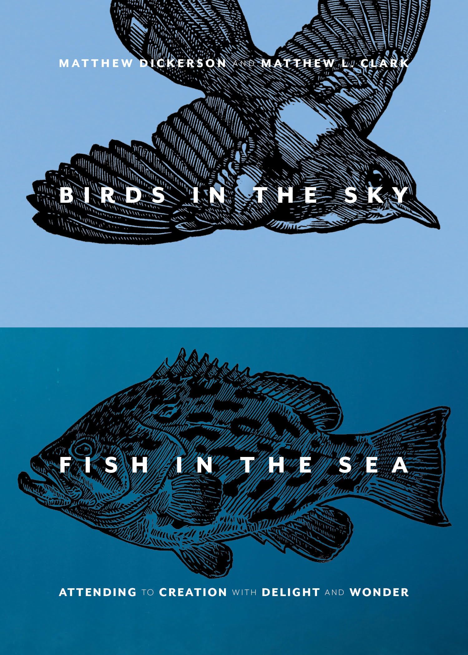 Birds in the Sky, Fish in the Sea: Attending to Creation with Delight and Wonder Mathematics
